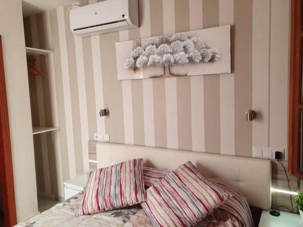 Hostal Puerta Carmona : photo 4 de la chambre chambre double deluxe avec douche