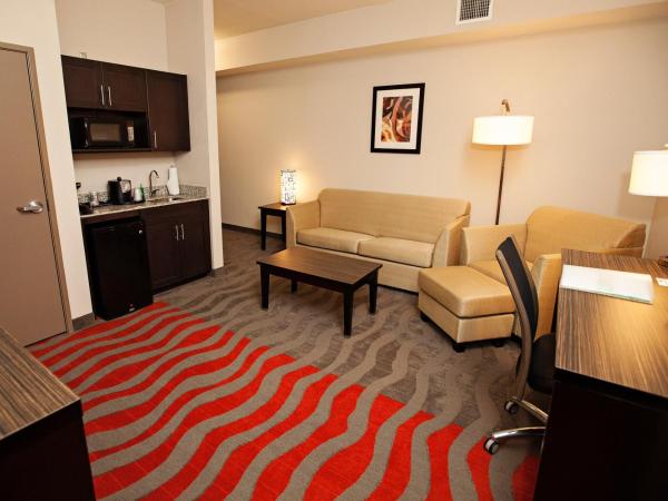 Holiday Inn Houston West - Westway Park, an IHG Hotel : photo 3 de la chambre suite 1 chambre lit king-size