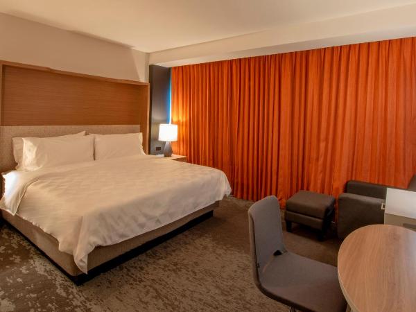 Holiday Inn & Suites - Merida La Isla, an IHG Hotel : photo 4 de la chambre chambre lit king-size premium