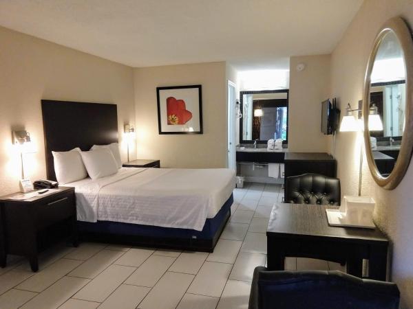 Red Carpet Inn Airport Fort Lauderdale : photo 1 de la chambre chambre lit queen-size