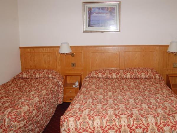 Viking Hotel : photo 5 de la chambre chambre lits jumeaux