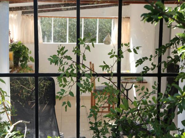 le cabanon de l'olivette : photo 5 de la chambre chambre double - vue sur jardin