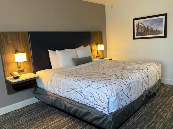 Best Western Premier Denver East : photo 8 de la chambre chambre lit king-size