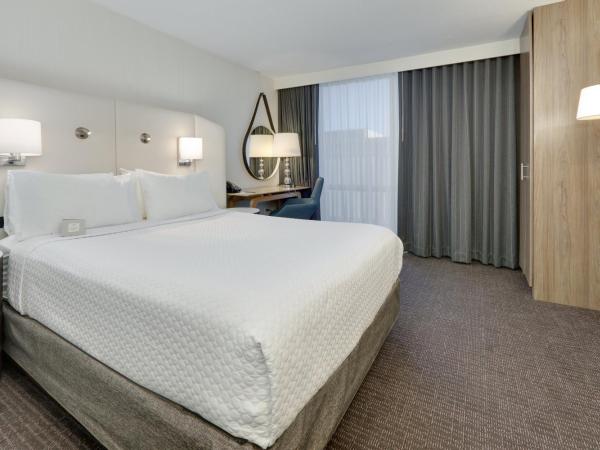 Crowne Plaza Hotel Dallas Downtown, an IHG Hotel : photo 4 de la chambre chambre lit queen-size – baignoire adaptée aux personnes à mobilité réduite