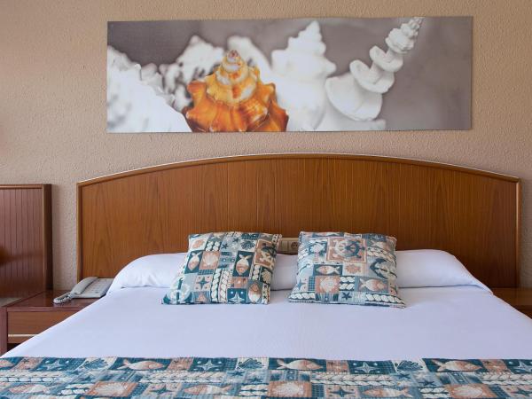 GHT Oasis Park & Spa : photo 1 de la chambre chambre simple