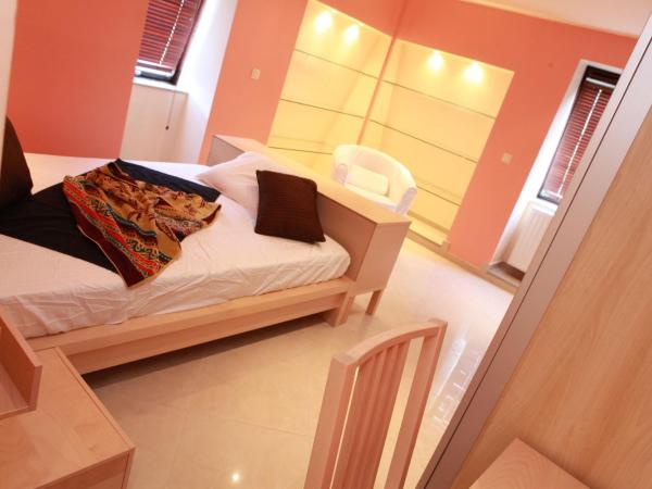 Residence la Fraisiere : photo 3 de la chambre grand studio