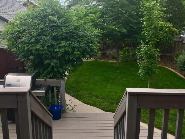 Private Room in West Highlands House : photo 4 de la chambre chambre lits jumeaux spacieuse