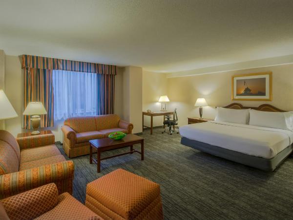 Holiday Inn Arlington at Ballston, an IHG Hotel : photo 3 de la chambre chambre lit king-size premium