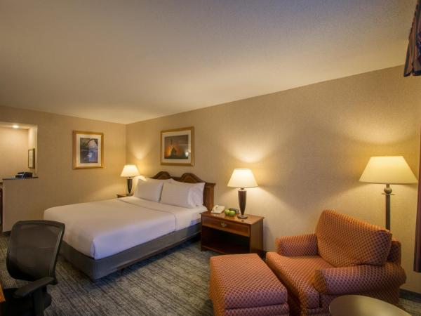 Holiday Inn Arlington at Ballston, an IHG Hotel : photo 5 de la chambre chambre lit king-size standard