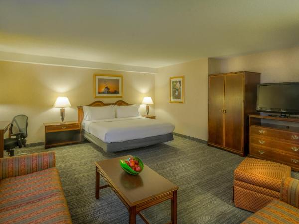 Holiday Inn Arlington at Ballston, an IHG Hotel : photo 5 de la chambre chambre lit king-size premium