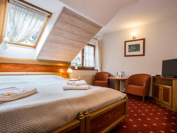 Hotel Promyk Wellness & Spa : photo 4 de la chambre chambre double standard