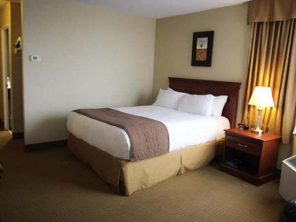 WelcomINNS Ottawa : photo 9 de la chambre chambre lit queen-size
