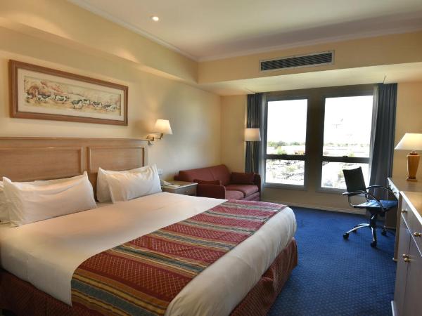 Holiday Inn Cordoba, an IHG Hotel : photo 8 de la chambre chambre lit king-size