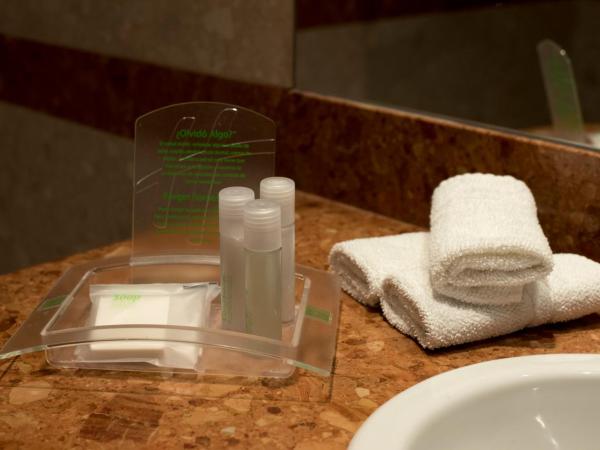 Holiday Inn Cordoba, an IHG Hotel : photo 7 de la chambre chambre lits jumeaux standard