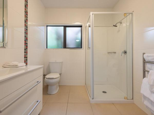 Apollo Lodge Motel : photo 5 de la chambre studio 1 chambre - rez-de-chaussée