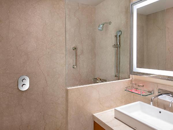 Trident Udaipur : photo 4 de la chambre chambre double deluxe - vue sur jardin