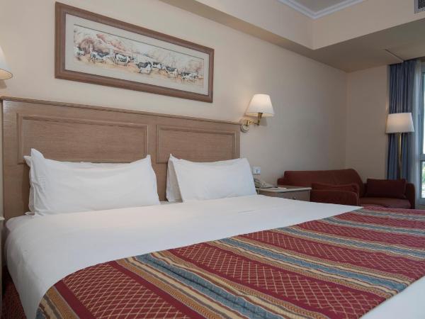Holiday Inn Cordoba, an IHG Hotel : photo 7 de la chambre chambre lit king-size