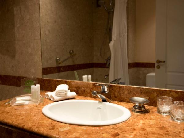 Holiday Inn Cordoba, an IHG Hotel : photo 7 de la chambre chambre double avec canapé-lit