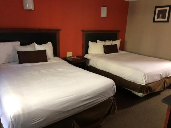 Downtown Value Inn : photo 3 de la chambre chambre double standard avec 2 lits doubles