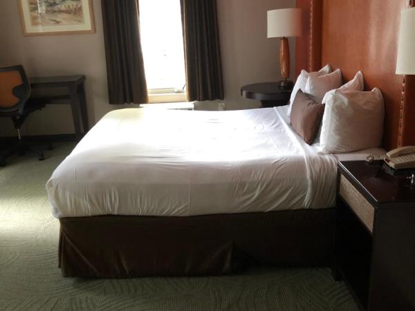 Downtown Value Inn : photo 4 de la chambre chambre standard lit queen-size