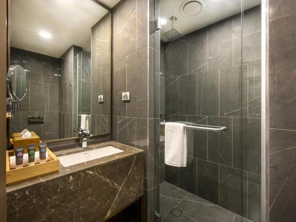 Novotel Melbourne Central : photo 5 de la chambre chambre lits jumeaux