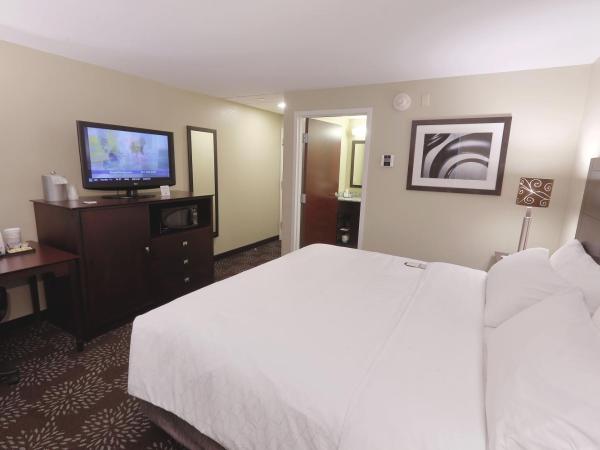 Holiday Inn Express Pittsburgh West - Greentree, an IHG Hotel : photo 5 de la chambre chambre lit king-size standard