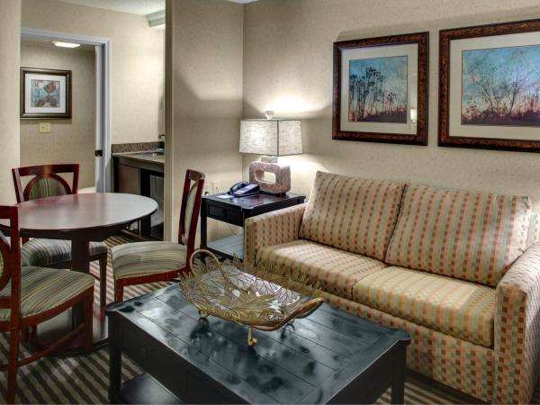 Holiday Inn Express Hotel & Suites Atlanta Buckhead, an IHG Hotel : photo 5 de la chambre suite 1 chambre - non-fumeurs