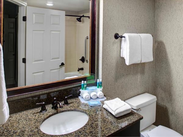 Holiday Inn Express Hotel & Suites Atlanta Buckhead, an IHG Hotel : photo 3 de la chambre suite 1 chambre - non-fumeurs