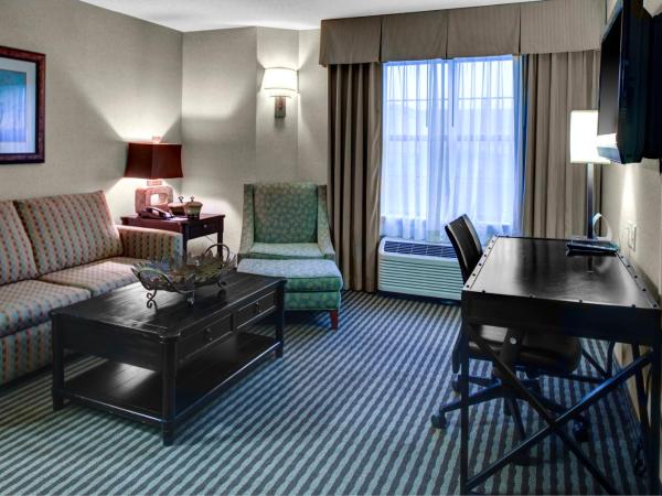 Holiday Inn Express Hotel & Suites Atlanta Buckhead, an IHG Hotel : photo 3 de la chambre suite lit king-size