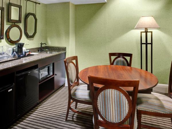 Holiday Inn Express Hotel & Suites Atlanta Buckhead, an IHG Hotel : photo 4 de la chambre suite exécutive avec canapé-lit