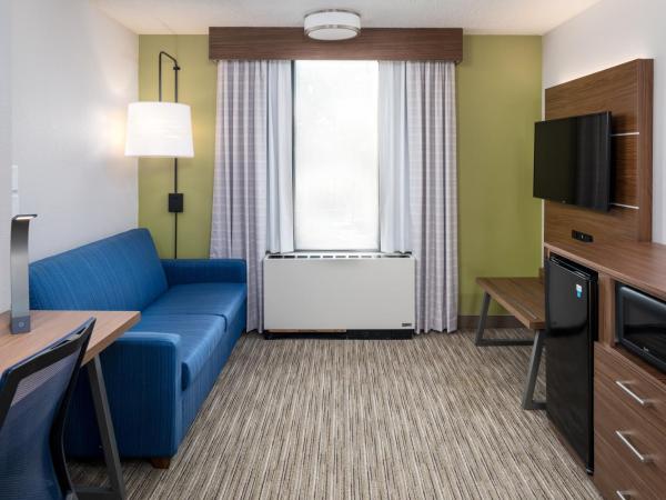 Holiday Inn Express Atlanta Airport-College Park, an IHG Hotel : photo 5 de la chambre chambre lit king-size avec canapé-lit - non-fumeurs