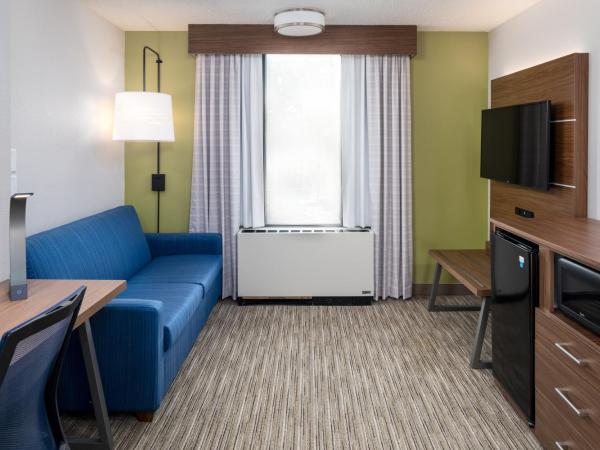Holiday Inn Express Atlanta Airport-College Park, an IHG Hotel : photo 5 de la chambre chambre king standard avec canapé-lit