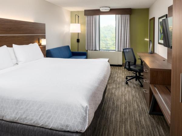 Holiday Inn Express Atlanta Airport-College Park, an IHG Hotel : photo 1 de la chambre chambre standard