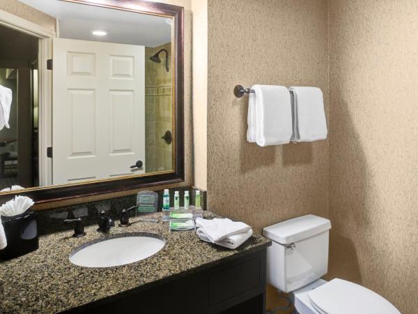 Holiday Inn Express Hotel & Suites Atlanta Buckhead, an IHG Hotel : photo 5 de la chambre suite lit king-size