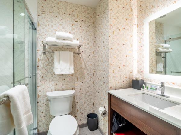 Holiday Inn - Columbia - Downtown, an IHG Hotel : photo 2 de la chambre chambre lit king-size standard