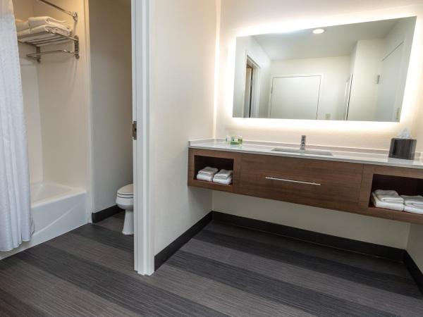 Holiday Inn Hotel & Suites Memphis-Wolfchase Galleria, an IHG Hotel : photo 3 de la chambre suite lit king-size – non-fumeurs