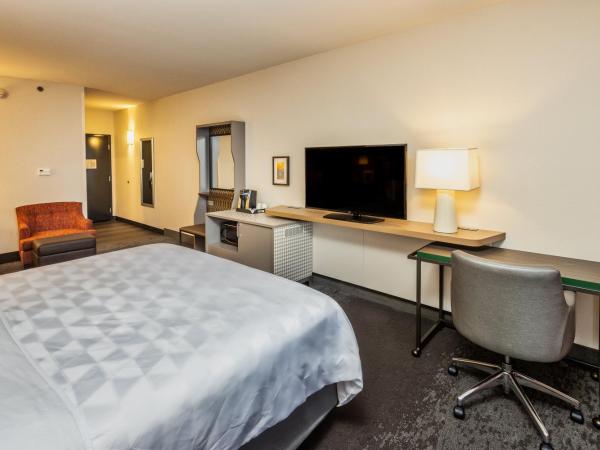 Holiday Inn Hotel & Suites Memphis-Wolfchase Galleria, an IHG Hotel : photo 4 de la chambre chambre lit king-size avec canapé-lit