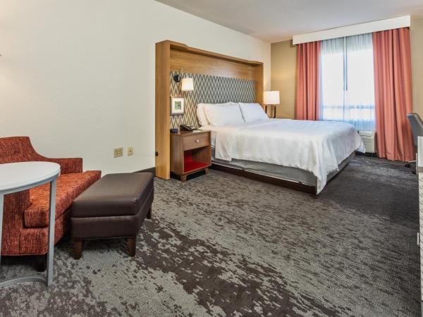 Holiday Inn Hotel & Suites Memphis-Wolfchase Galleria, an IHG Hotel : photo 3 de la chambre chambre lit king-size exécutive