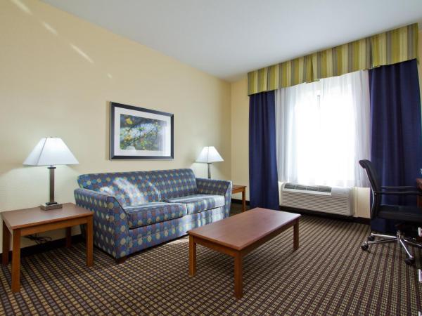 Holiday Inn Express and Suites Denver East Peoria Street, an IHG Hotel : photo 5 de la chambre suite 1 chambre