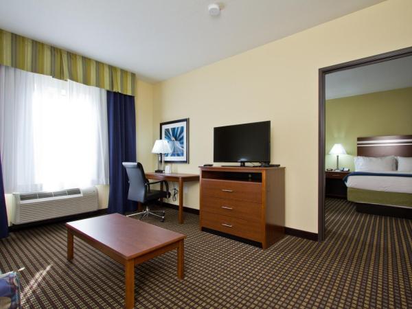 Holiday Inn Express and Suites Denver East Peoria Street, an IHG Hotel : photo 2 de la chambre suite 1 chambre
