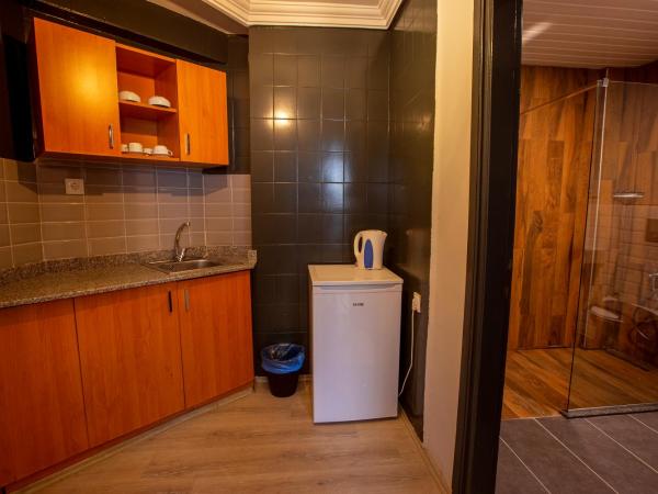 HMA Hotel & Suites : photo 4 de la chambre suite climatisée