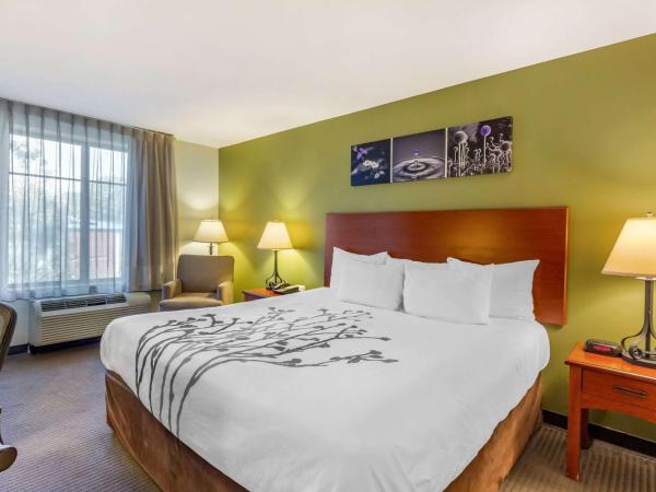 Sleep Inn & Suites : photo 1 de la chambre chambre lit king-size - non-fumeurs