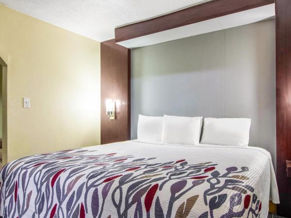 Rodeway Inn & Suites Houston near Medical Center : photo 2 de la chambre suite lit king-size – non-fumeurs