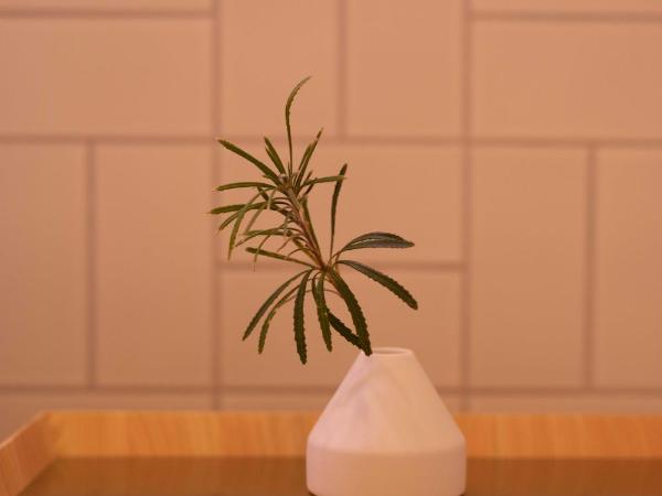 Hotel K5 : photo 10 de la chambre chambre k5 avec douche