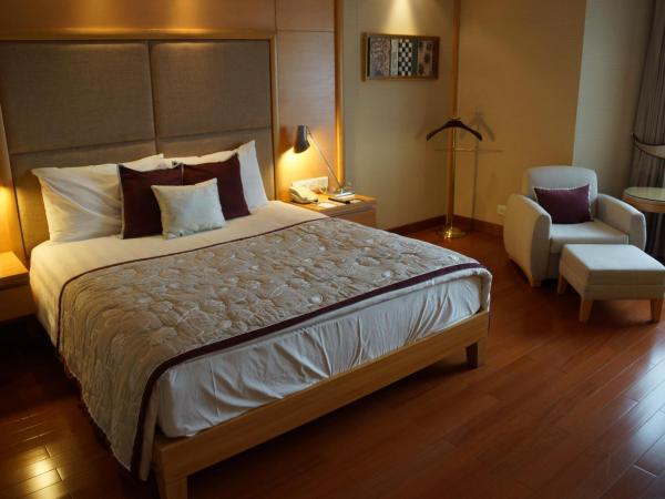 Jaypee Vasant Continental : photo 2 de la chambre executive double room with complimentary one way airport transfer, with 10% discount on food and soft beverages (not on in room dining )