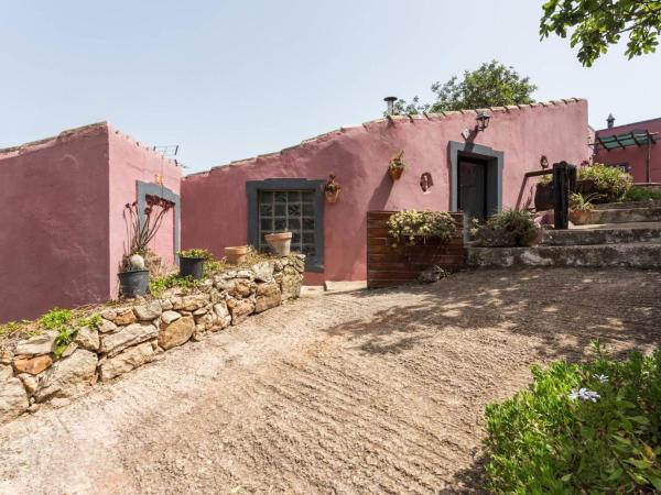 Casa Adega - Quinta Amoreira : photo 6 de la chambre maison de vacances