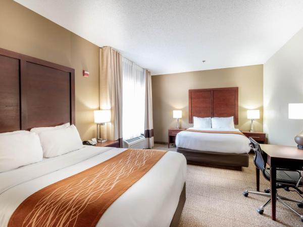 Comfort Inn & Suites Love Field-Dallas Market Center : photo 2 de la chambre chambre double avec 2 lits doubles - non-fumeurs