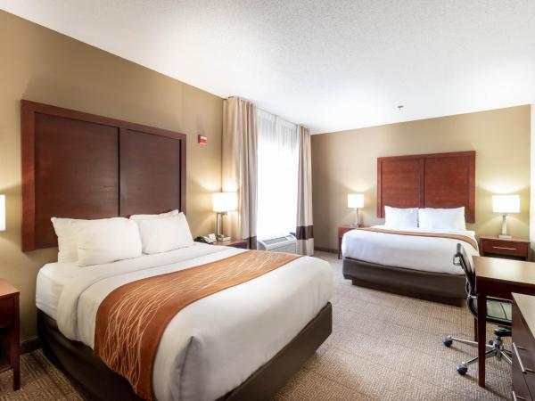 Comfort Inn & Suites Love Field-Dallas Market Center : photo 1 de la chambre chambre double avec 2 lits doubles - non-fumeurs