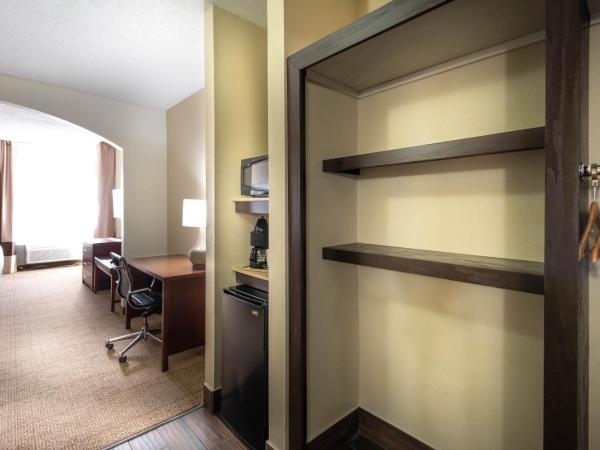 Comfort Inn & Suites Love Field-Dallas Market Center : photo 2 de la chambre chambre lit king-size - non-fumeurs