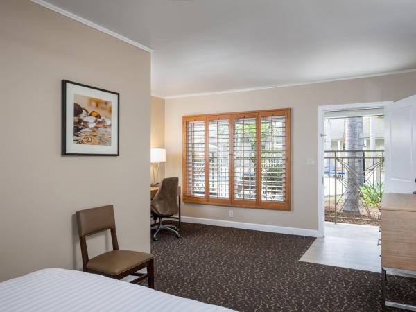 Holiday Inn Express and Suites La Jolla - Windansea Beach, and IHG Hotel : photo 1 de la chambre chambre lit queen-size 